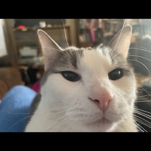 Meet your Posher, Seana